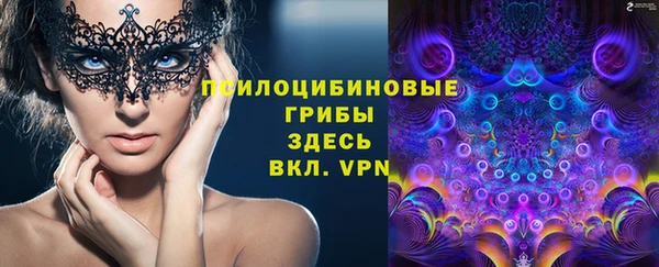 дмт Аркадак
